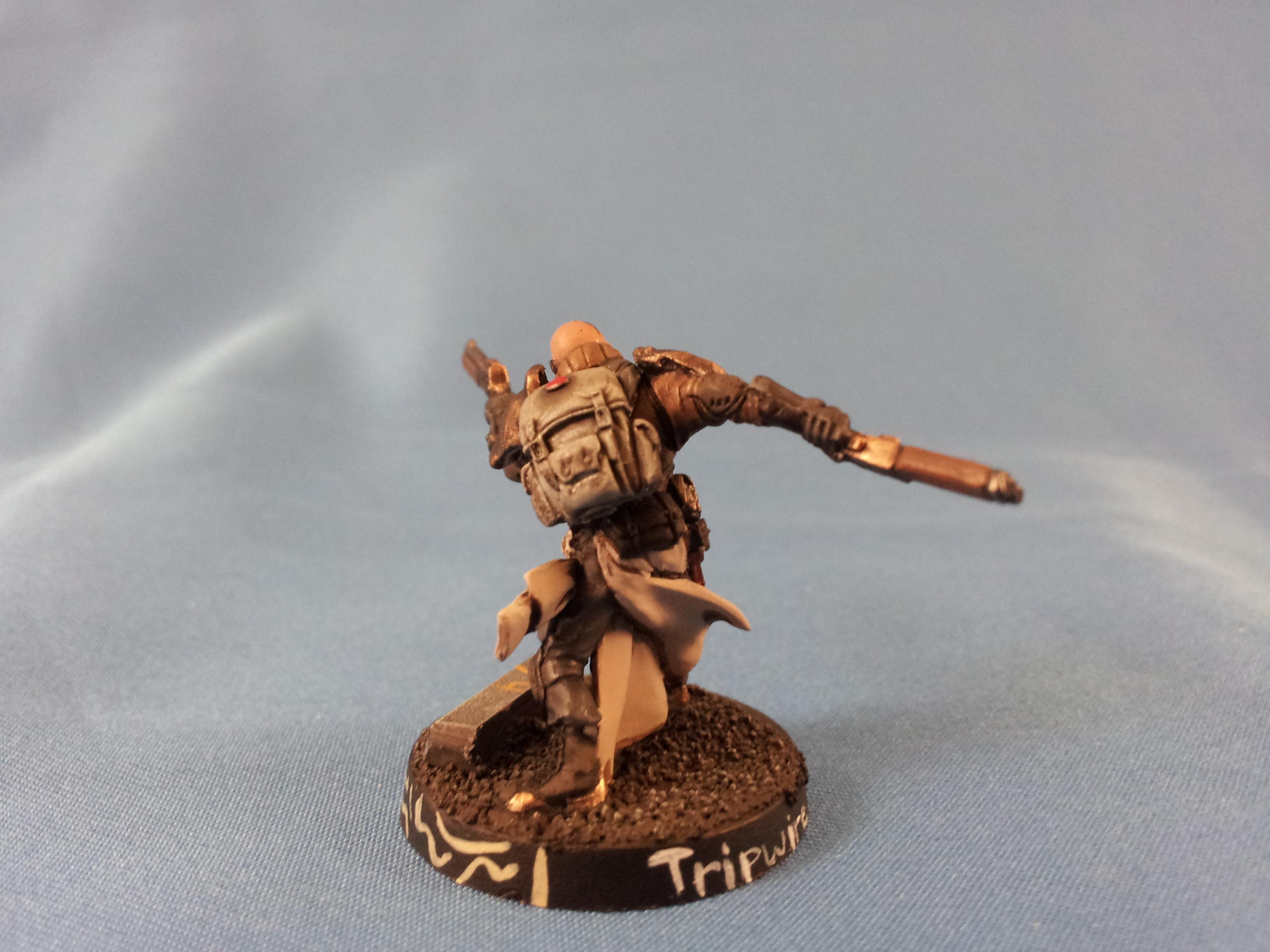 Ariadna, Highlander