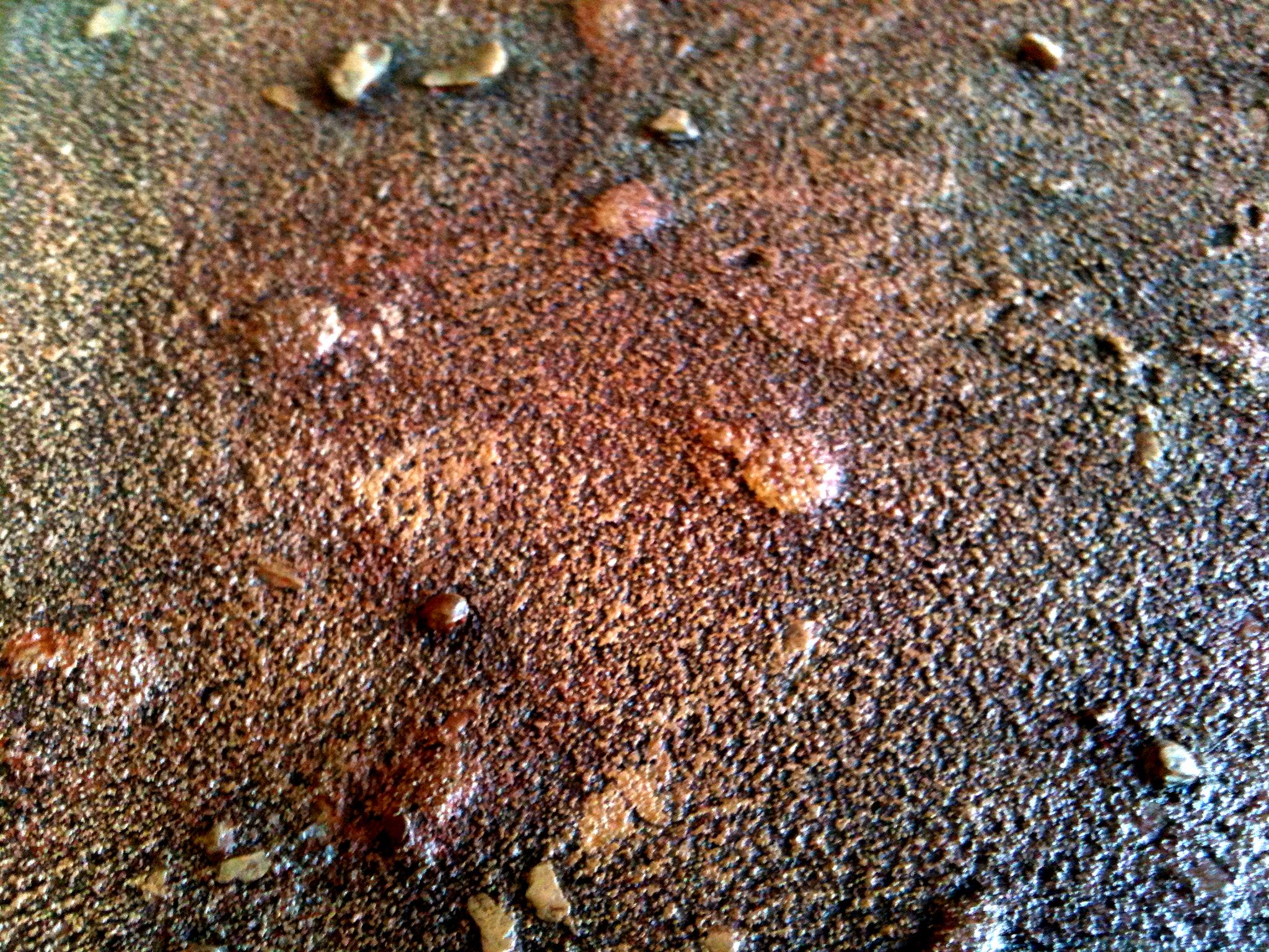Detail, Terrain