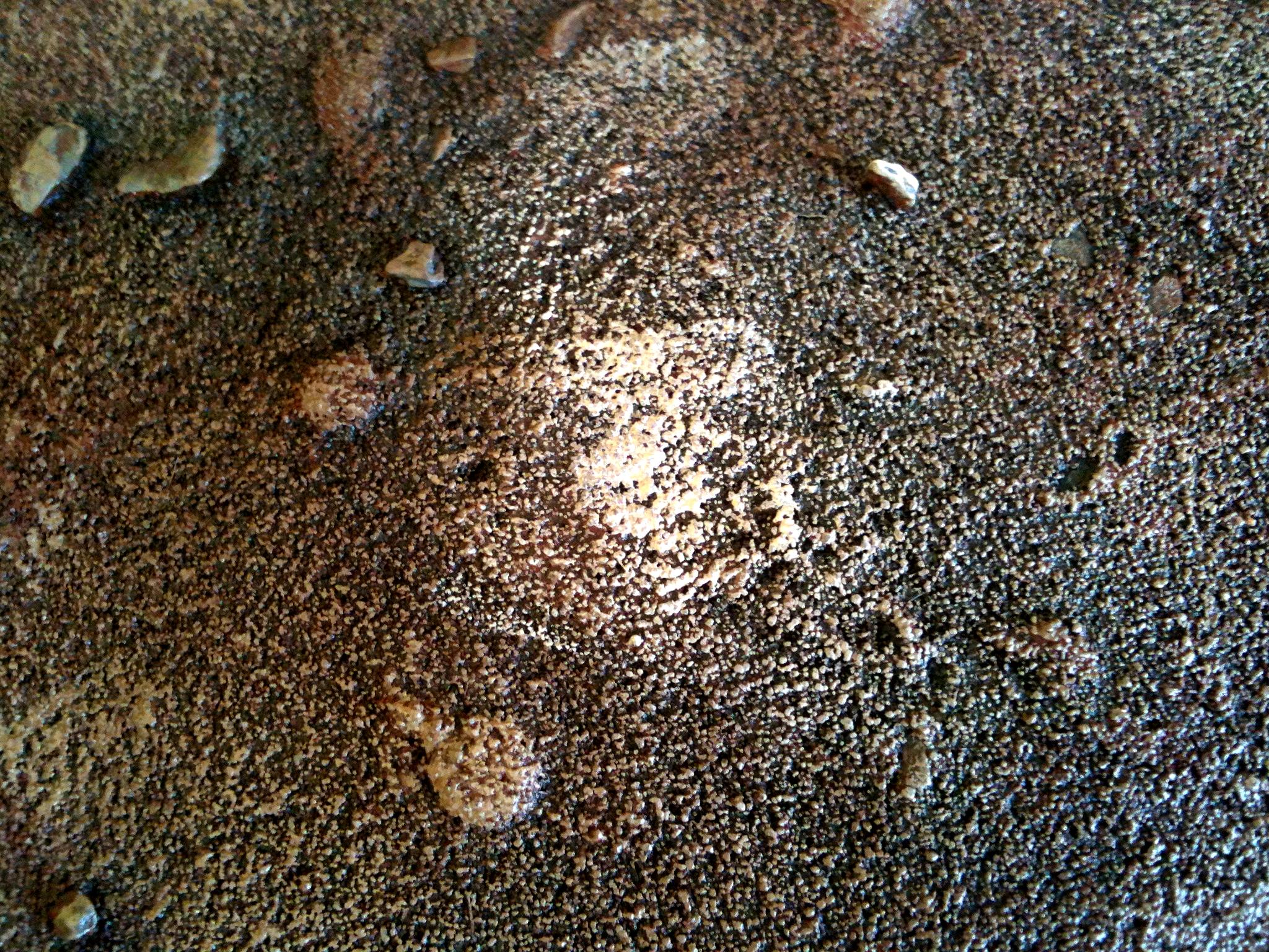 Detal, Terrain