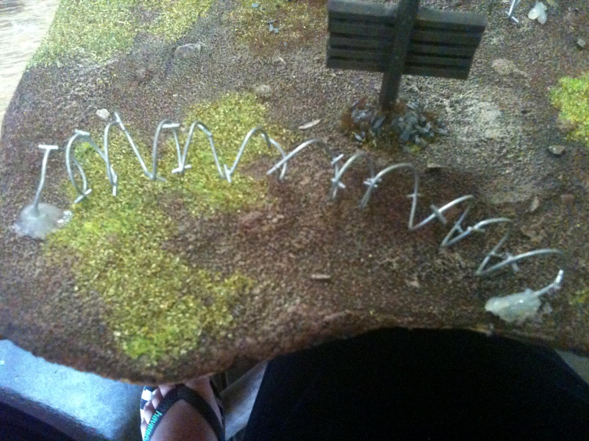 Barbedwire