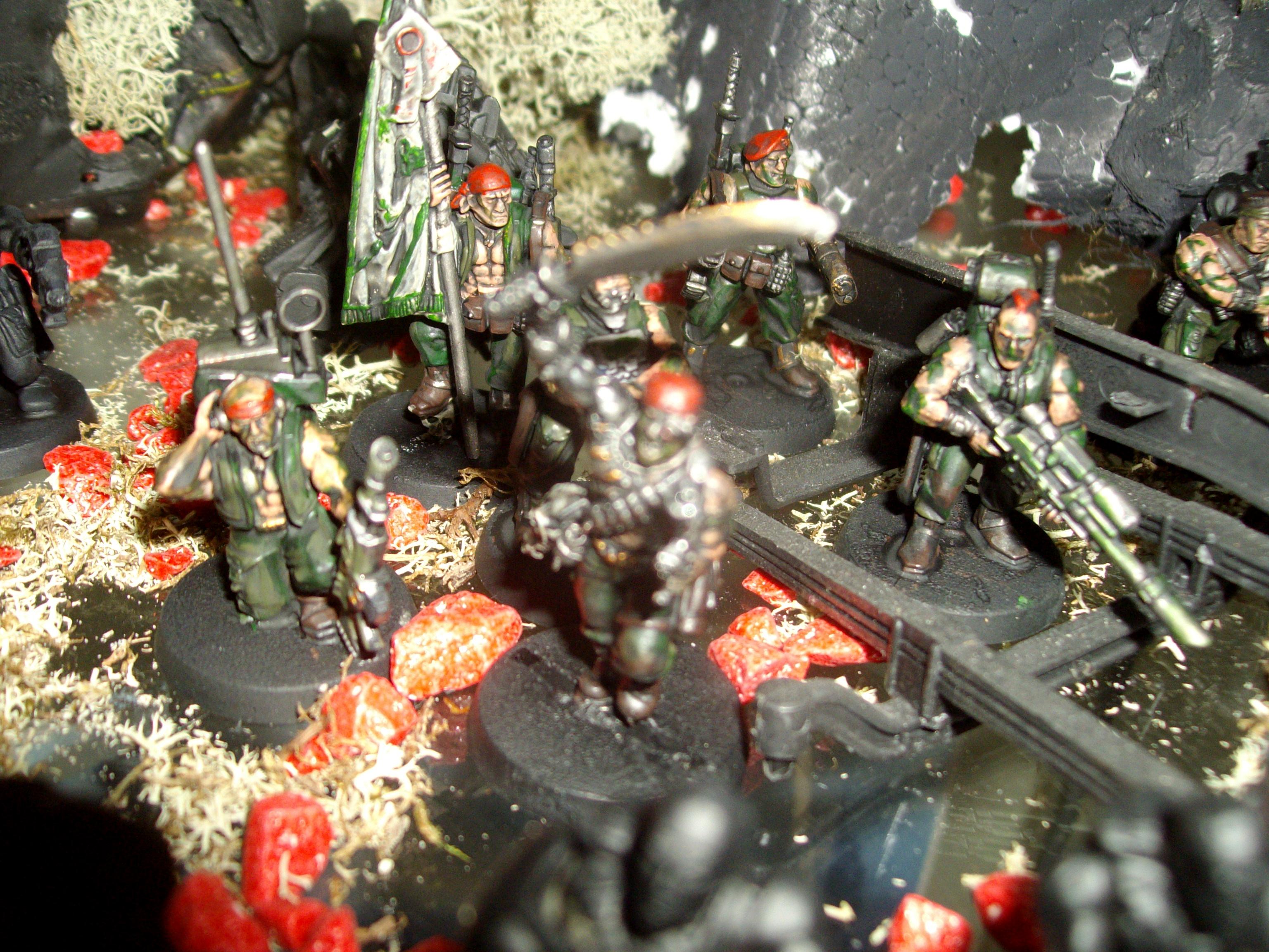Catachan, Command, Warhammer 40,000