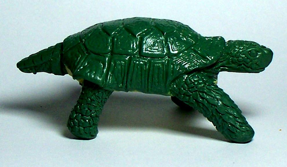 Shell1