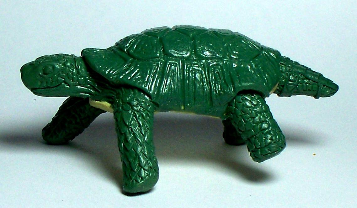 Shell 2