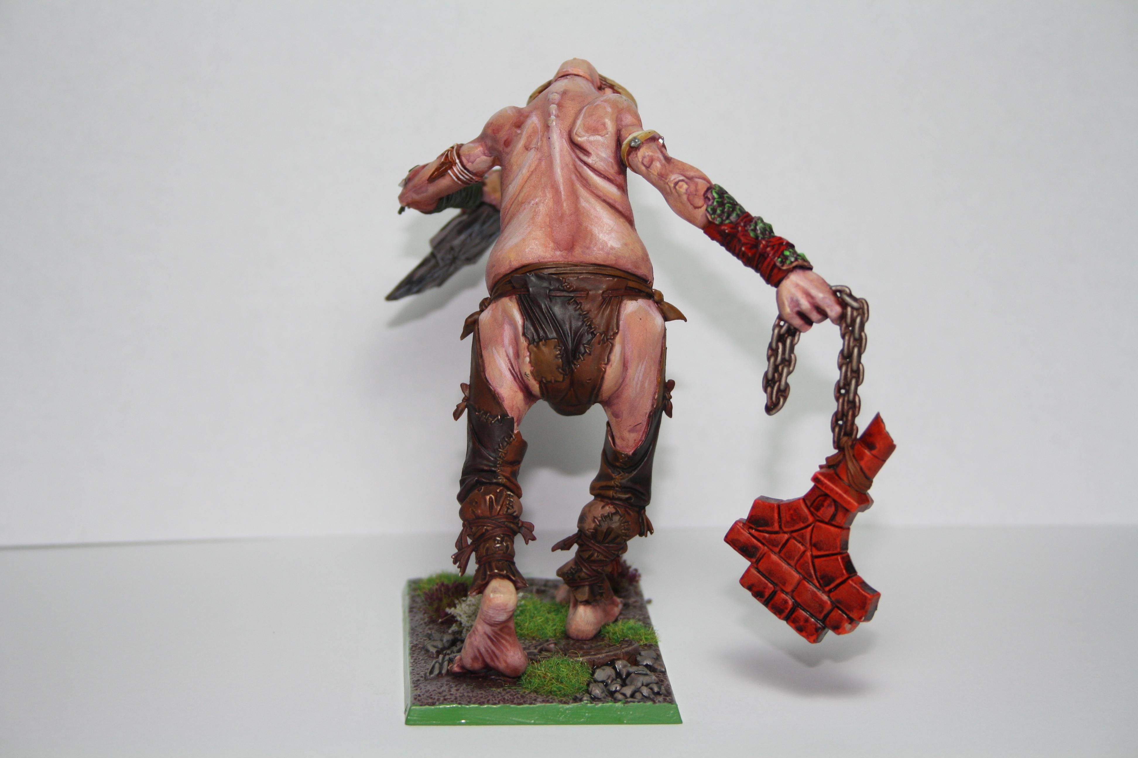 Giant, Giant rear view