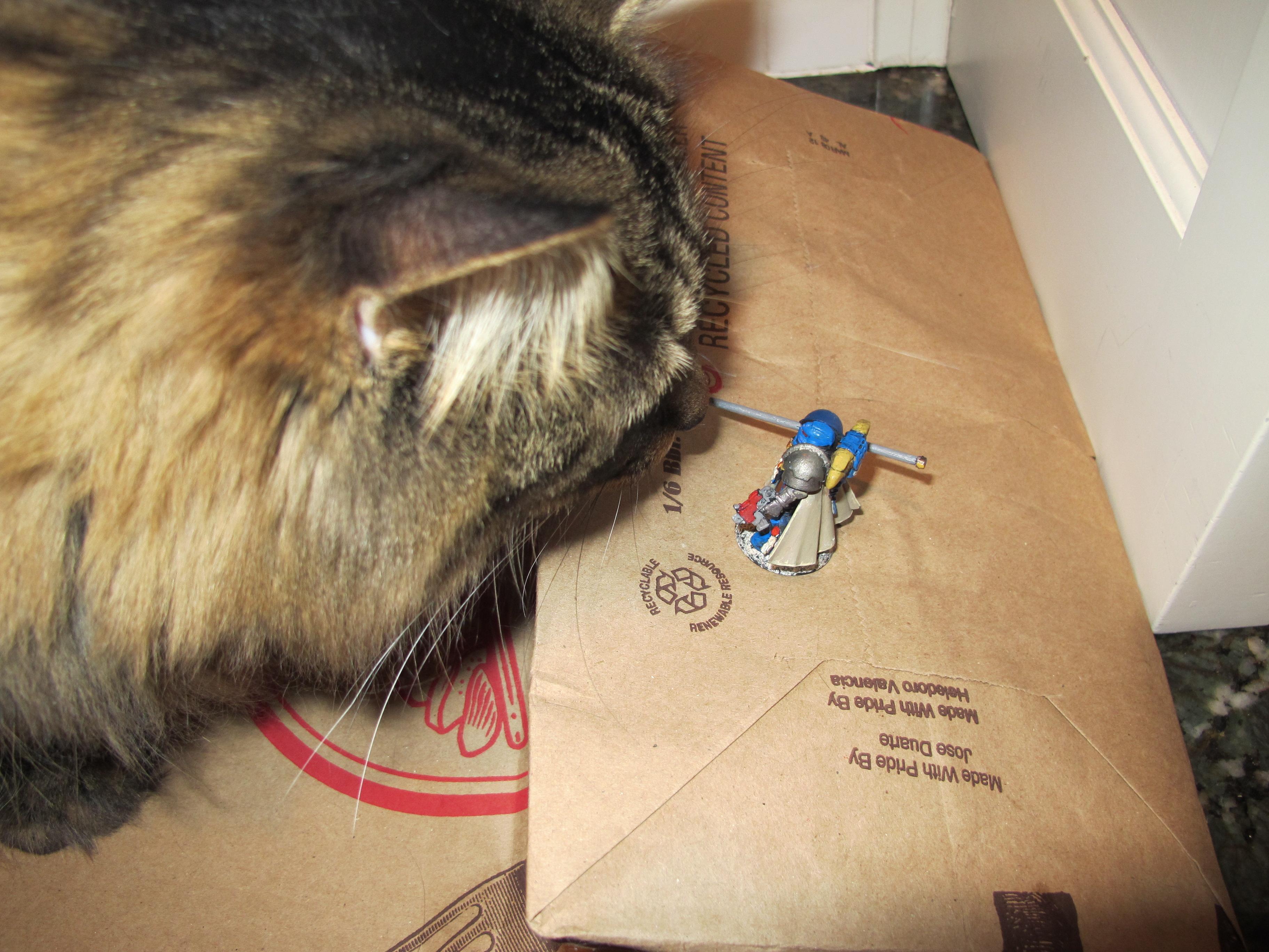 The Valiant Warrior attacks his mightiest foe yet! The Chaos tainted Grynx!