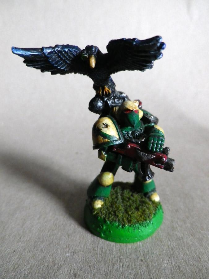Angel, Angels Of Absolution, Conversion, Dark Angels, Njall Stormcaller, Raven, Sergeant, Space Marines, Tactical
