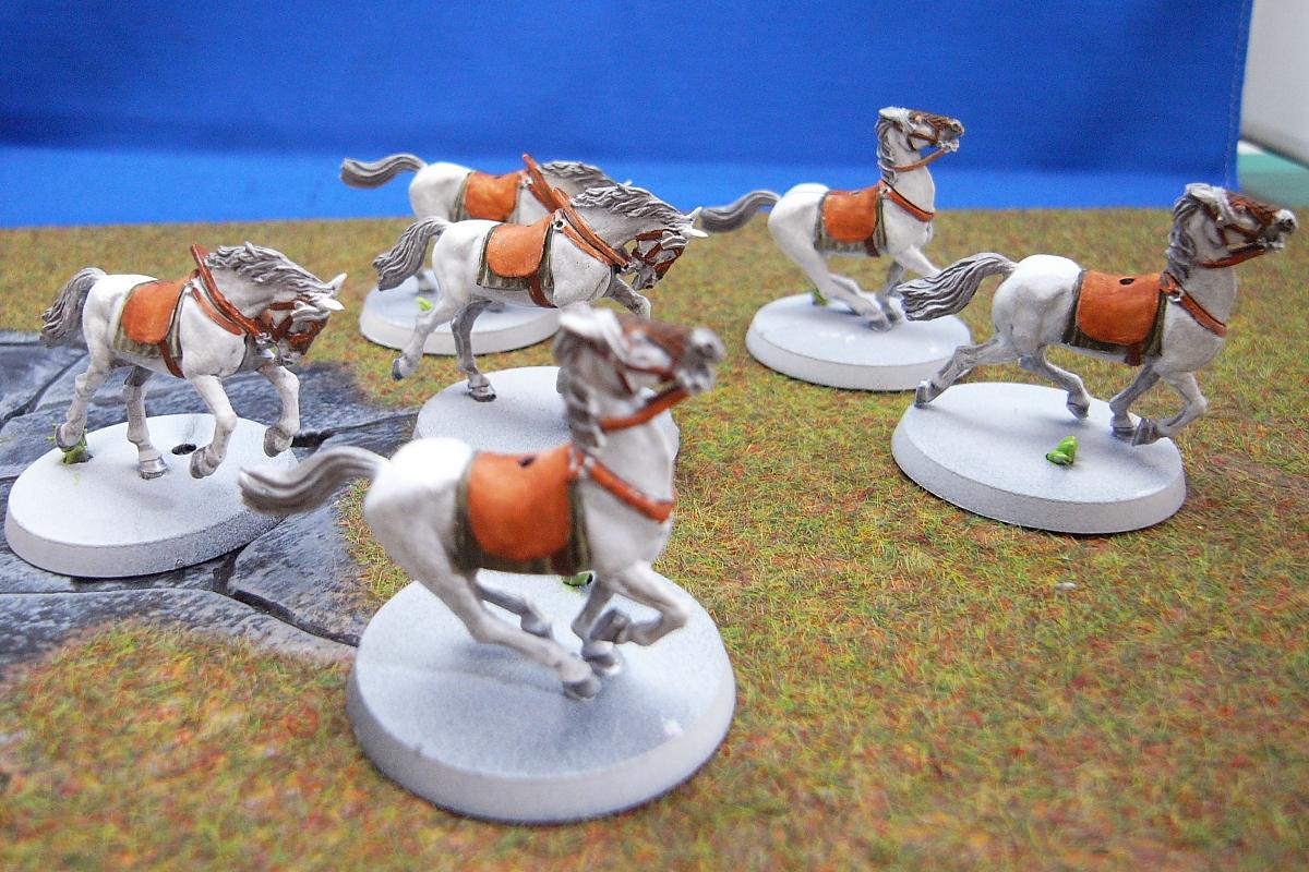 Horses, Lord Of The Rings