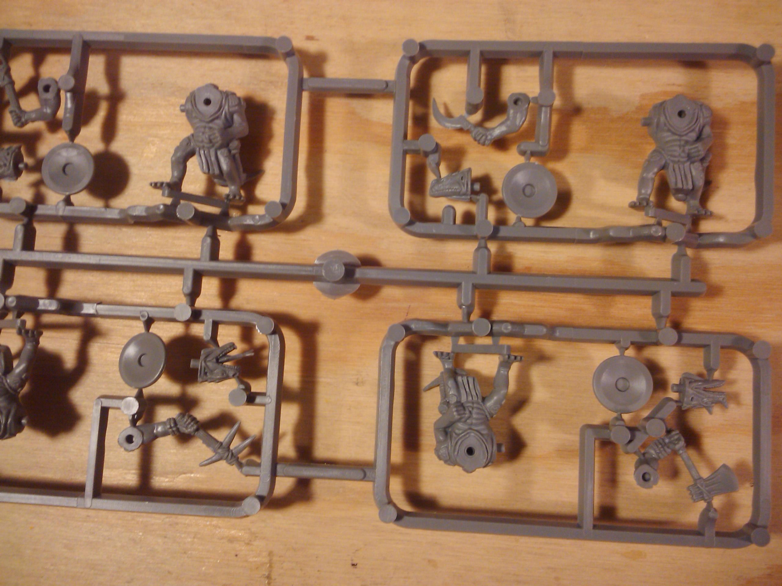 Build, Hobby, Lizard, Lizardmen, Painting, Warhammer Fantasy, Wf