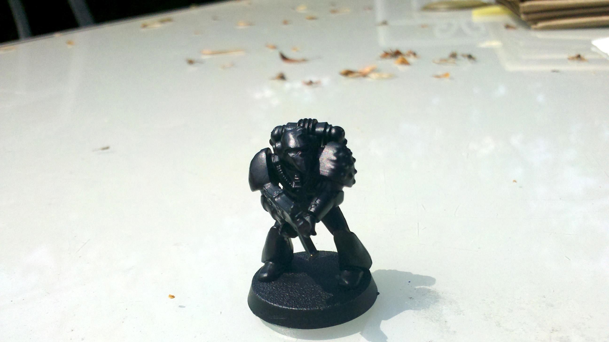 Rogur Trader, Space Marines