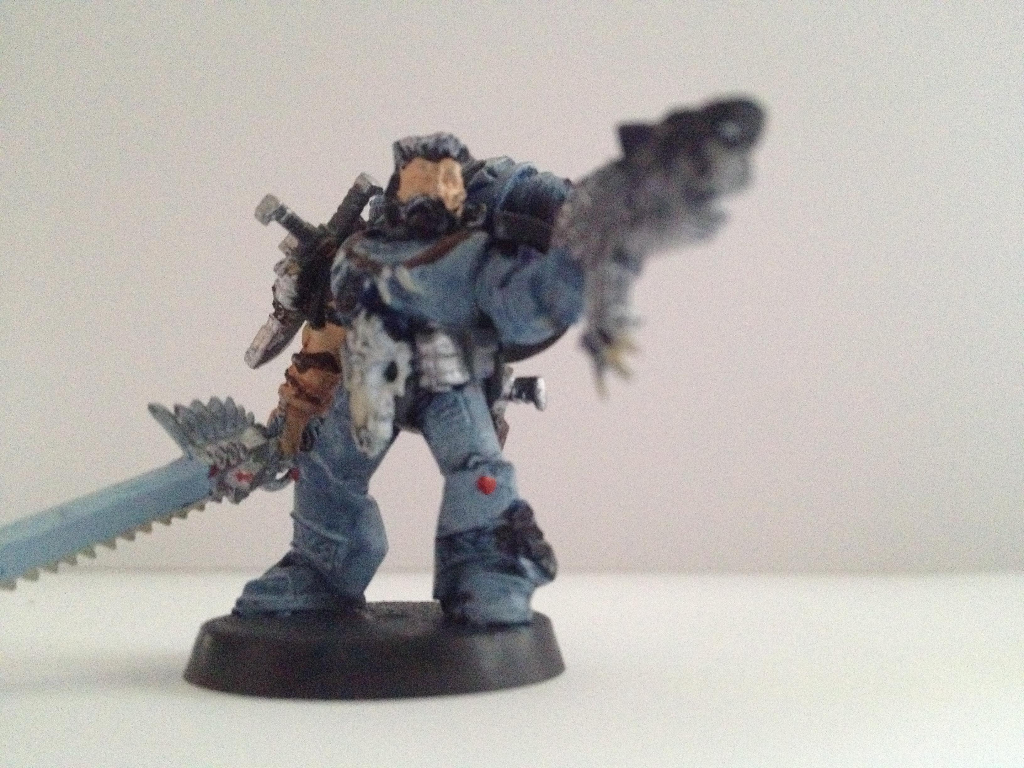 Badasses, Grey Hunters, Grimblood, Space Wolves
