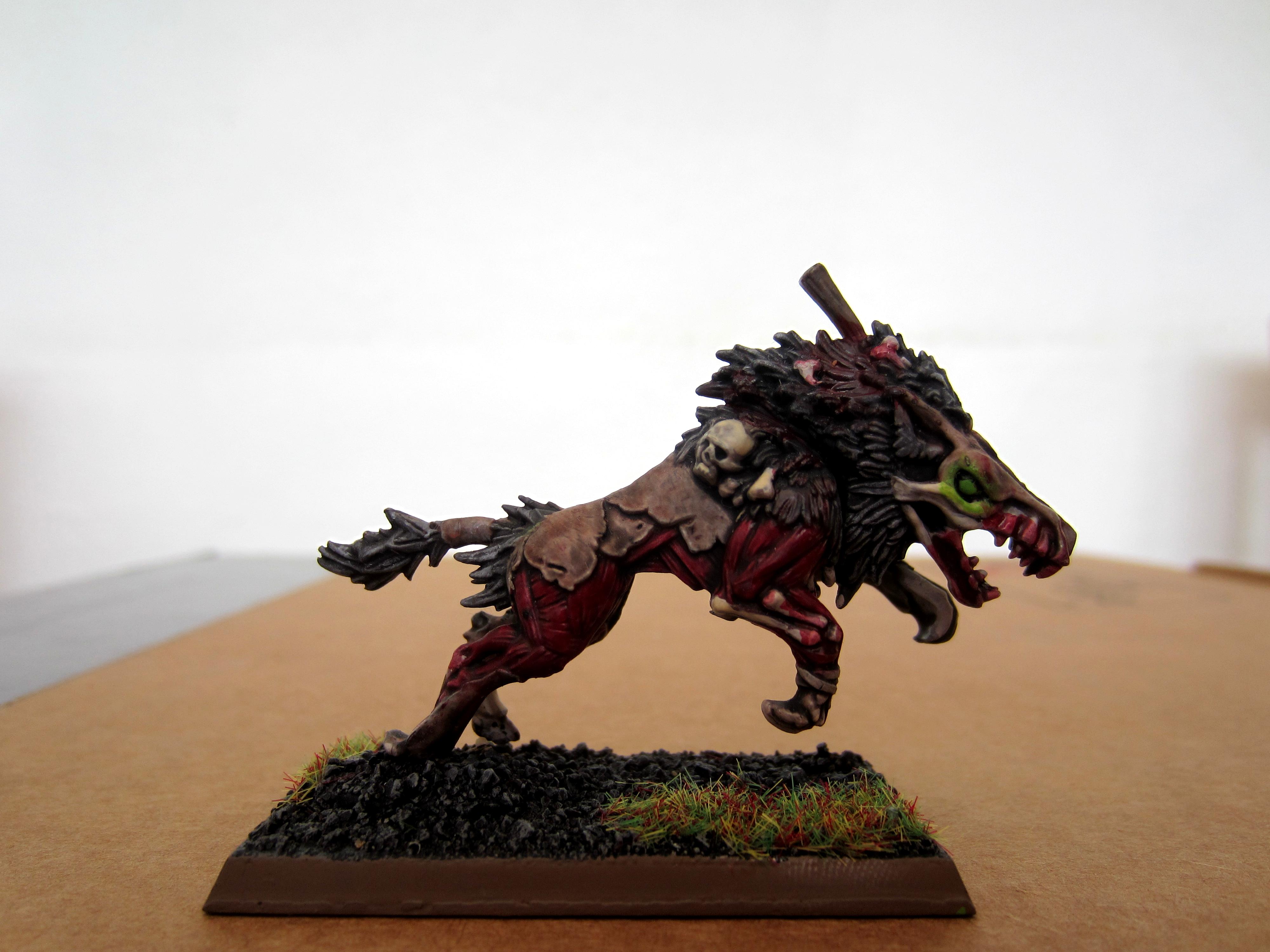 Dire Wolf, Vampire Counts, Warhammer Fantasy