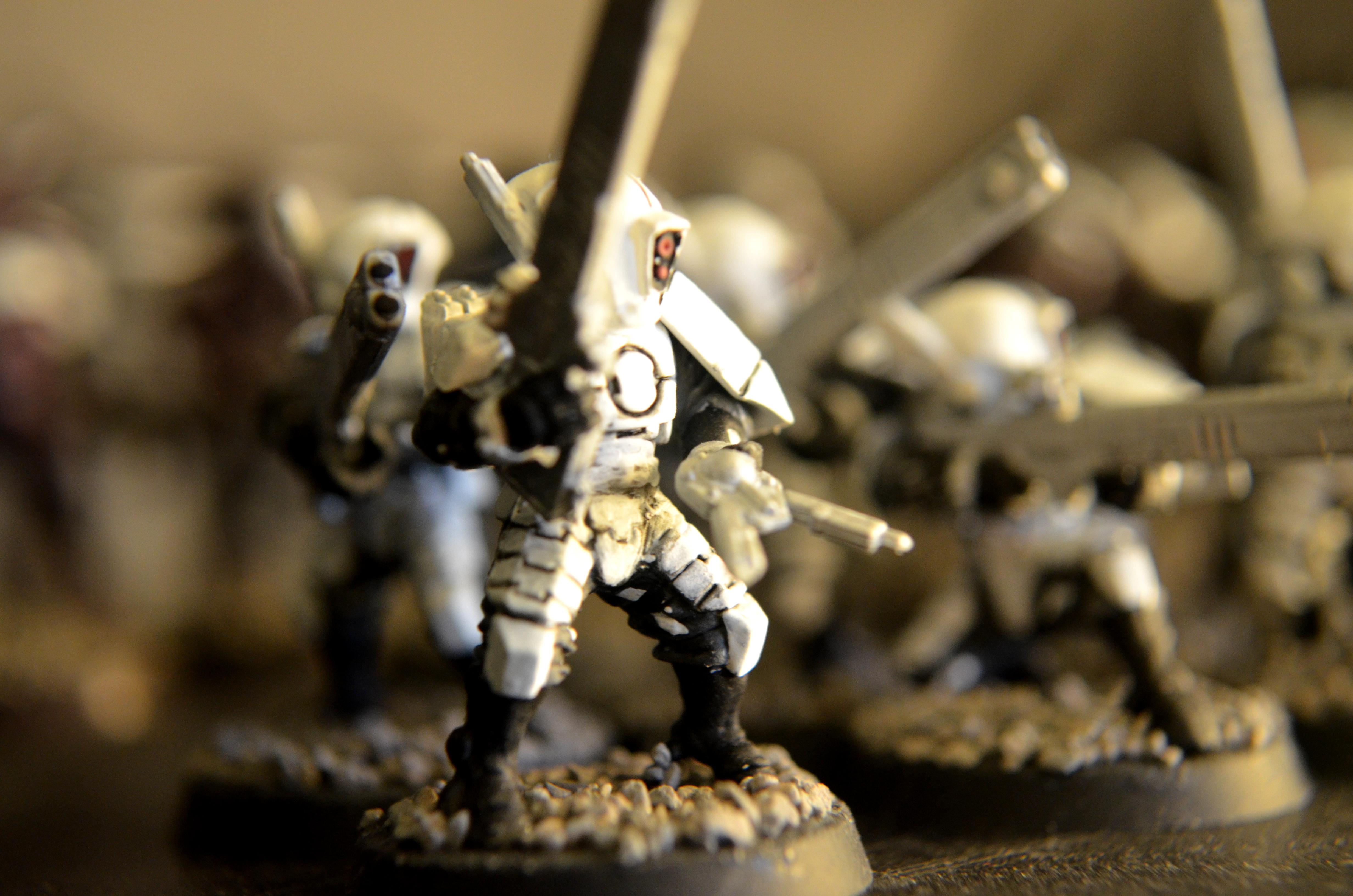 Tau firewarrior