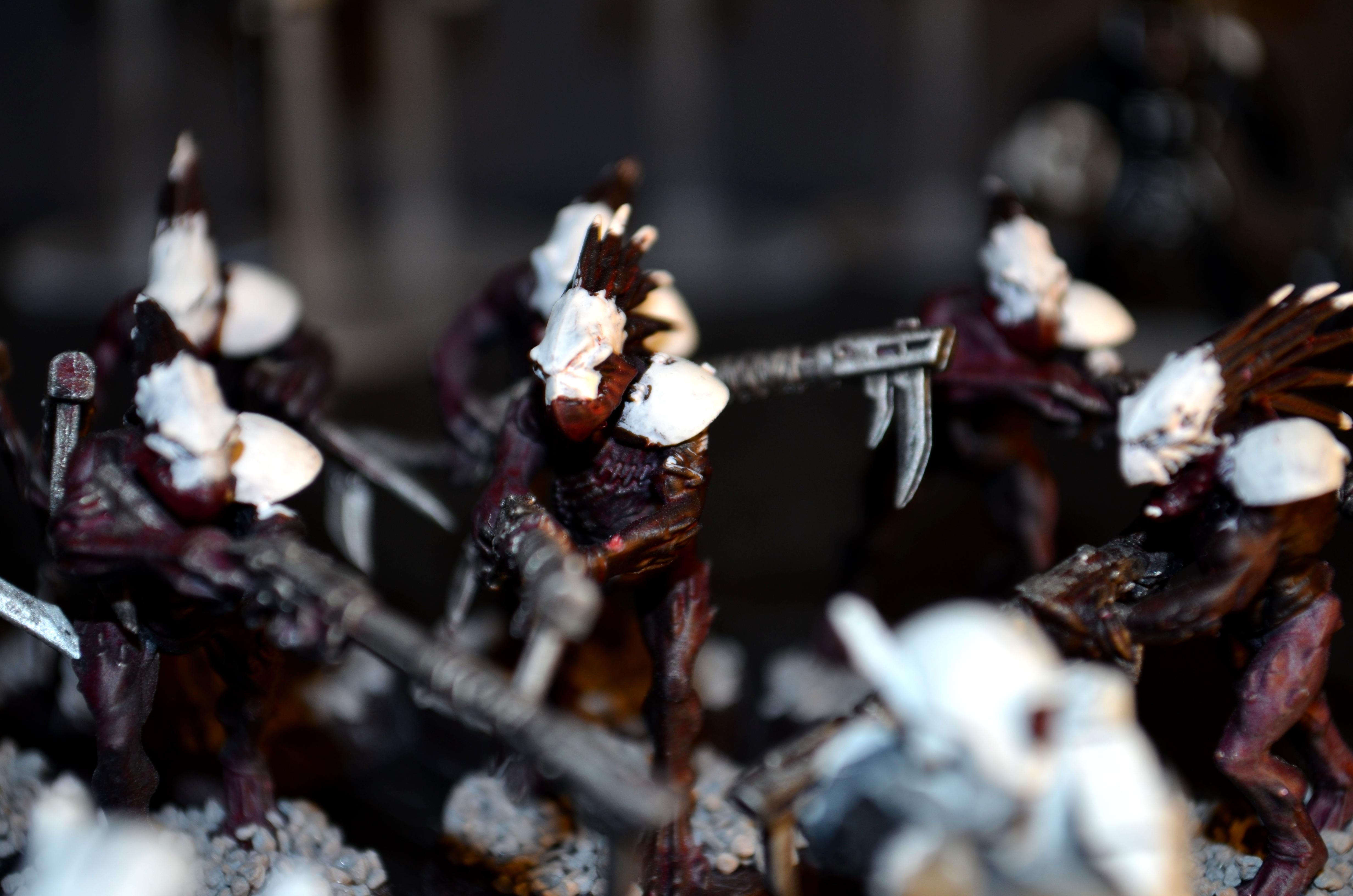 Kroot