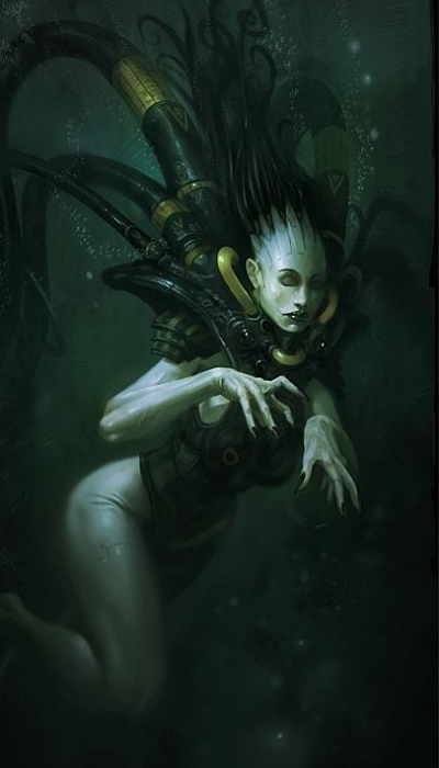 A Nauta navigator/administrator