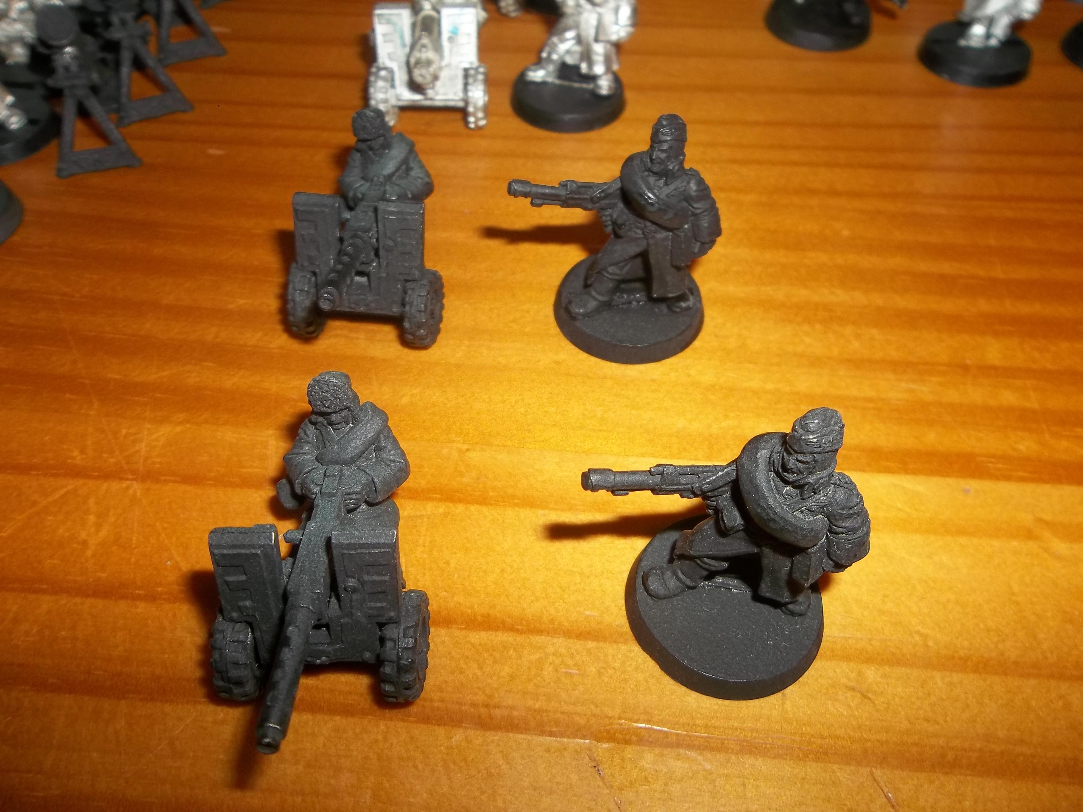 Ice Warriors, Imperial Guard, Valhallans