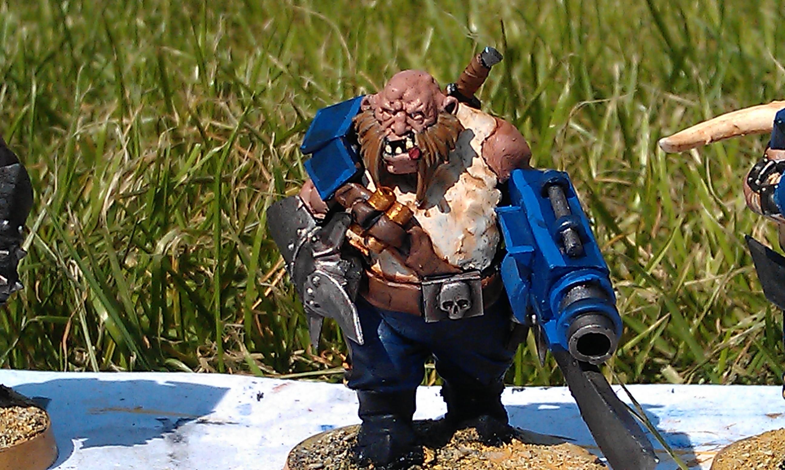 Conversion, Jalvene, Ogryns