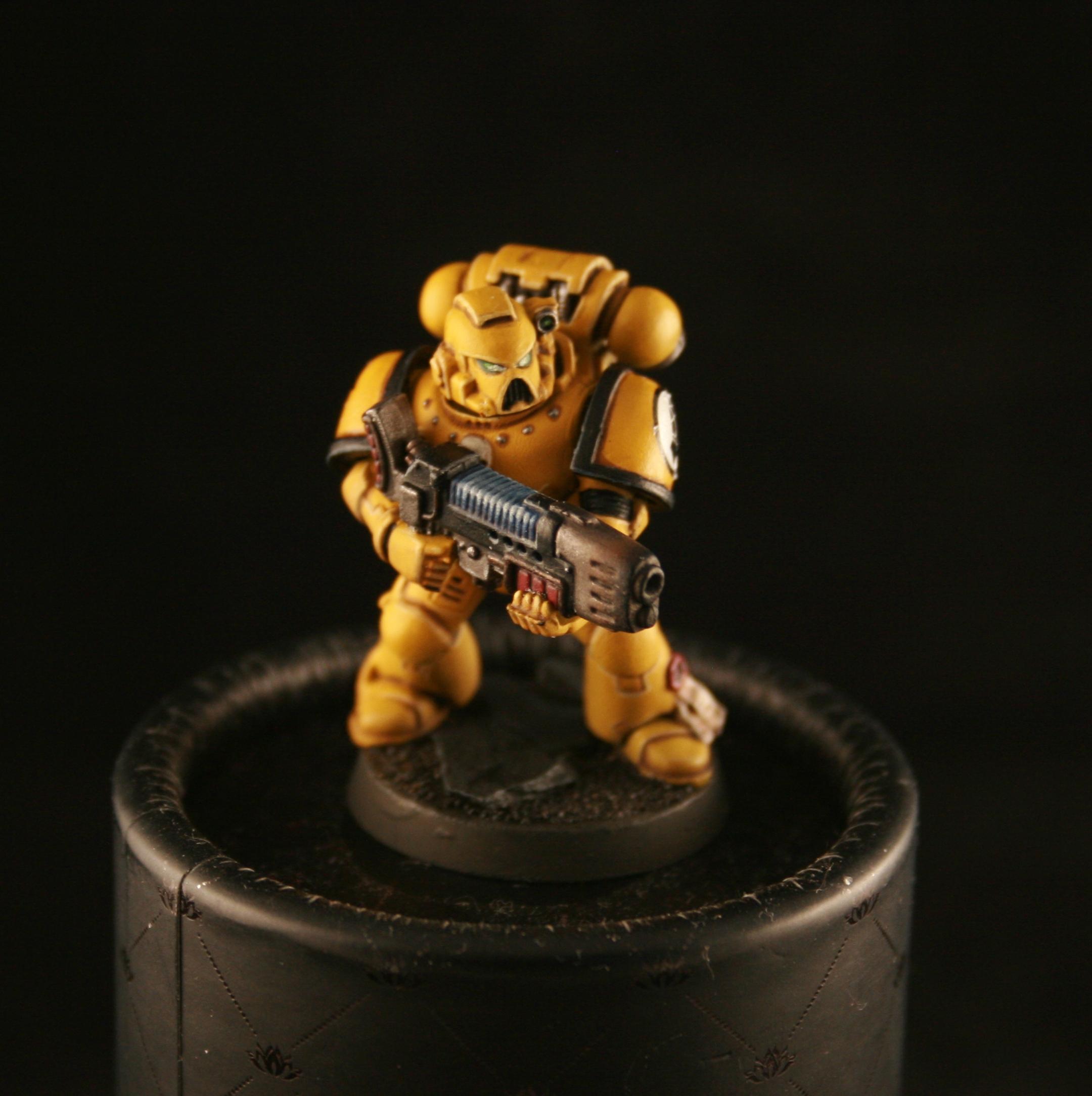 Imperial Fists, Plasma Gun, Space Marines