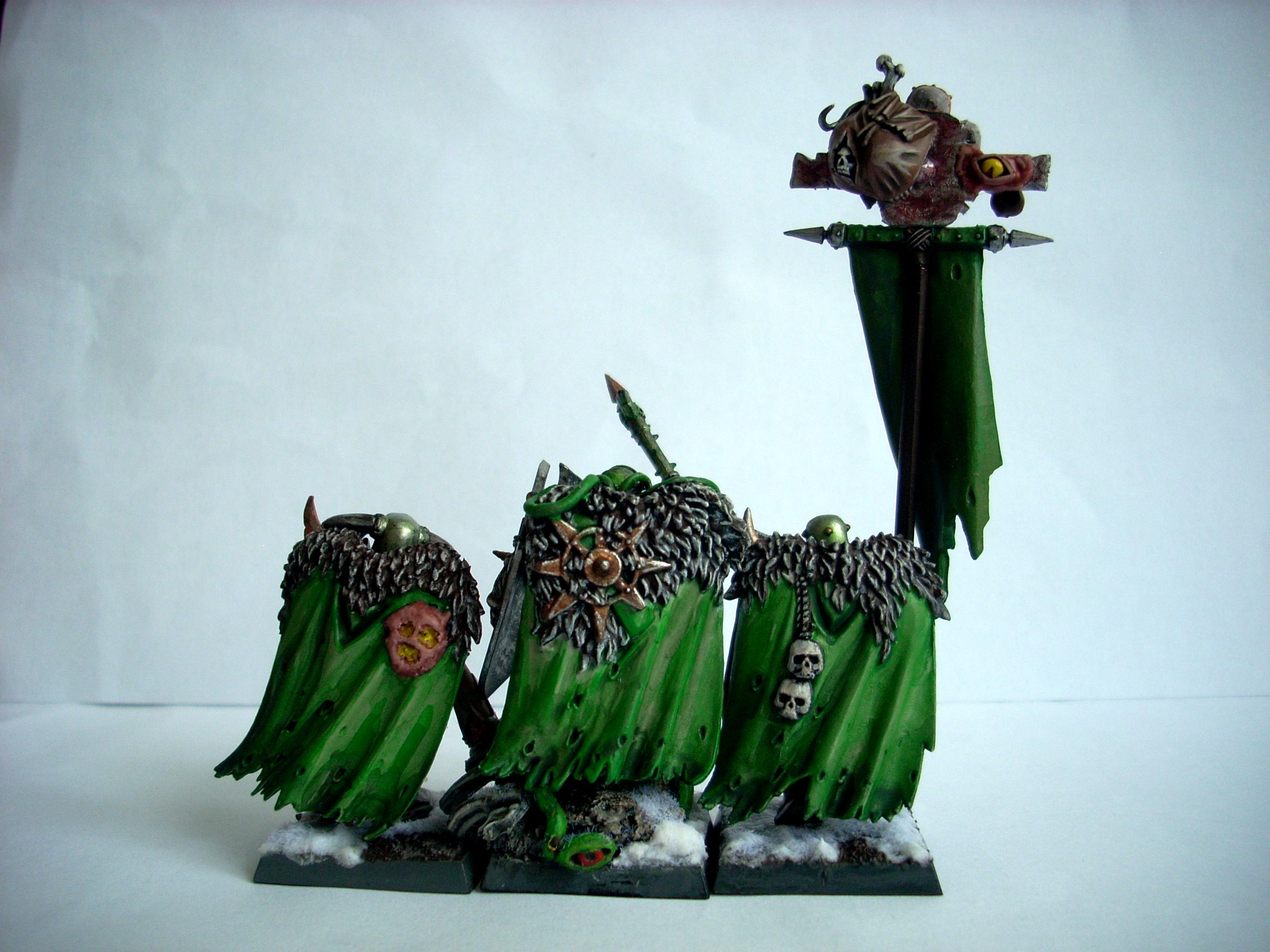 Caos, Chaos, Guerrieri, Nurgle, Snow, Warhammer Fantasy, Warriors