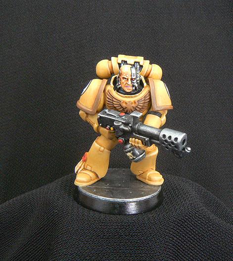 Imperial Fists, Front view