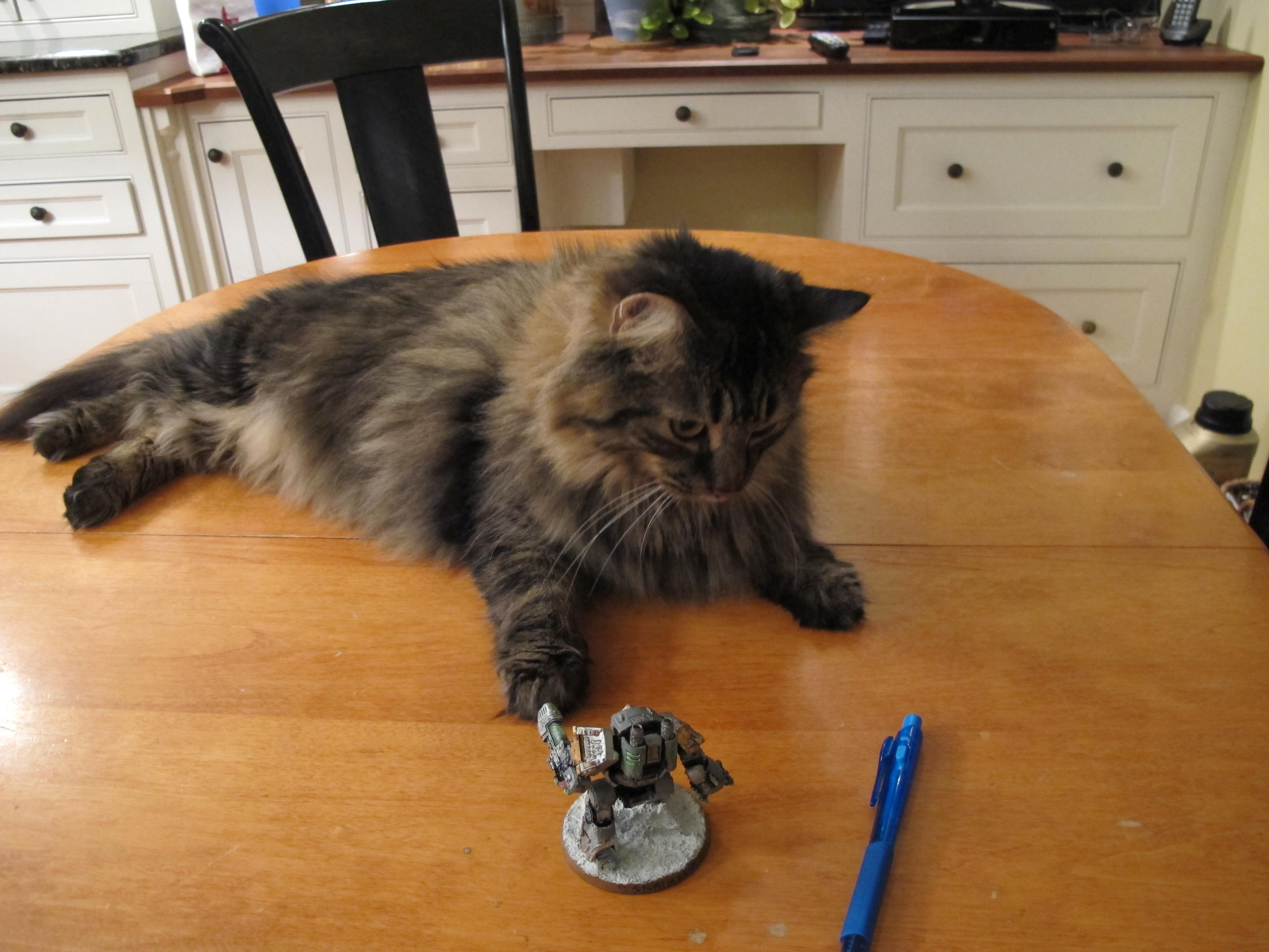 SAGA OF SKALLAGRIM! The Grinx attacks the capitol of Kitchen VII!
