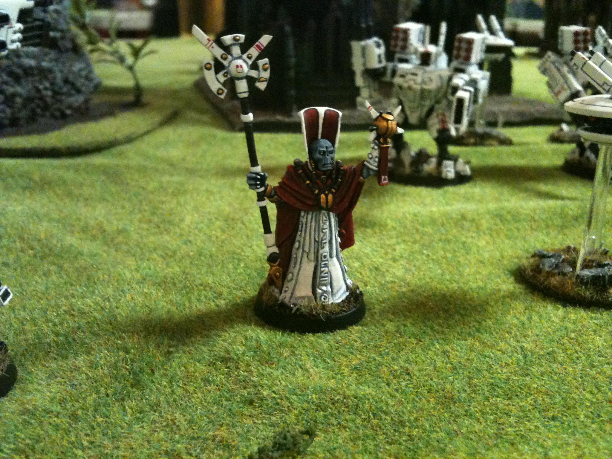 Rapid Strike 2012, Tau