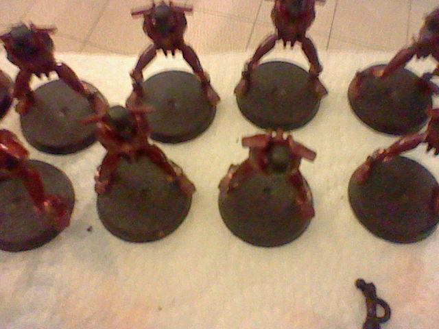 Warriors WIP