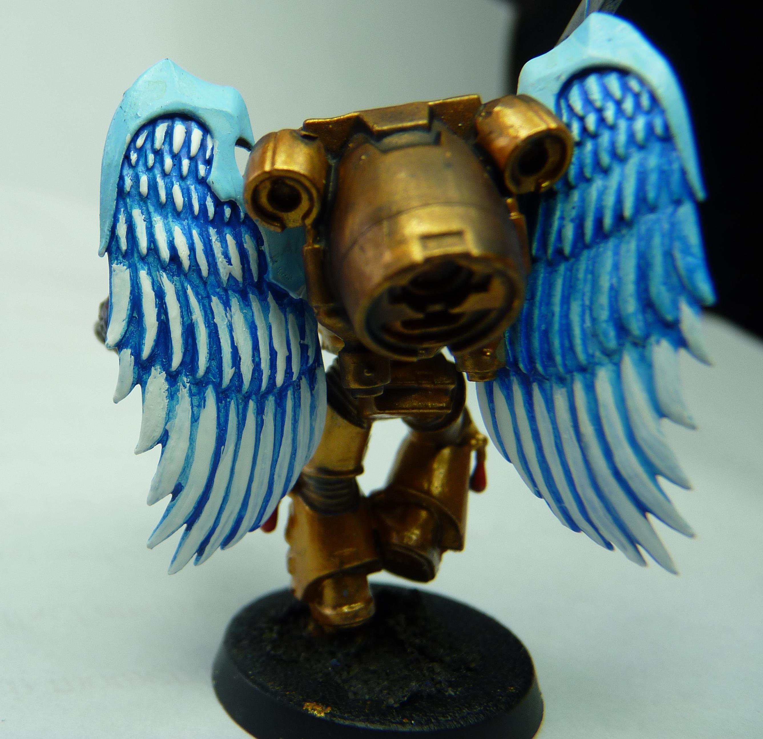 Blood Angels, Sanguinary Guard