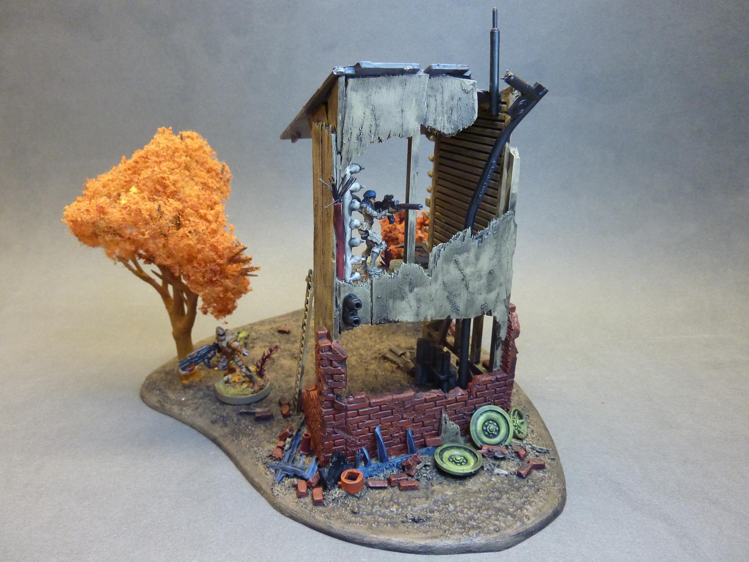 Terrain