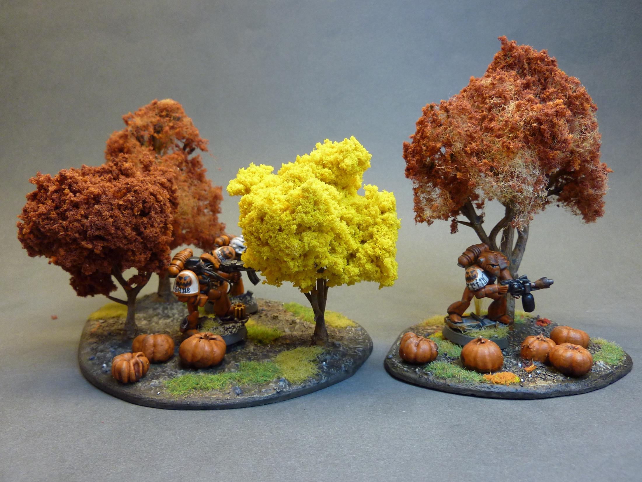Terrain