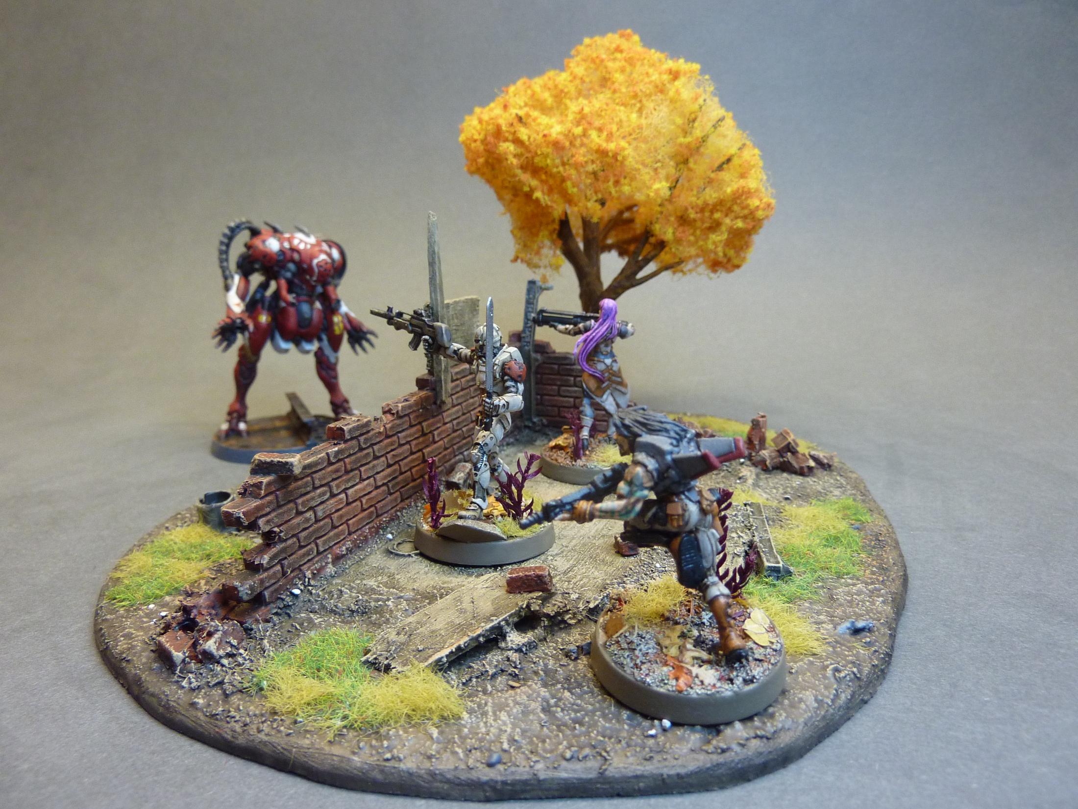 Terrain