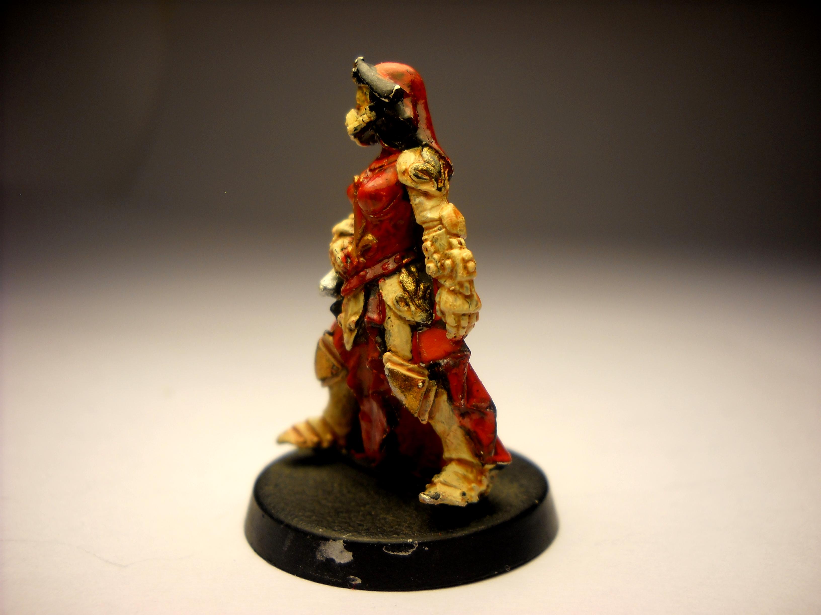 Nuns With Guns, Sister Hospitaller, Sisters Of Battle