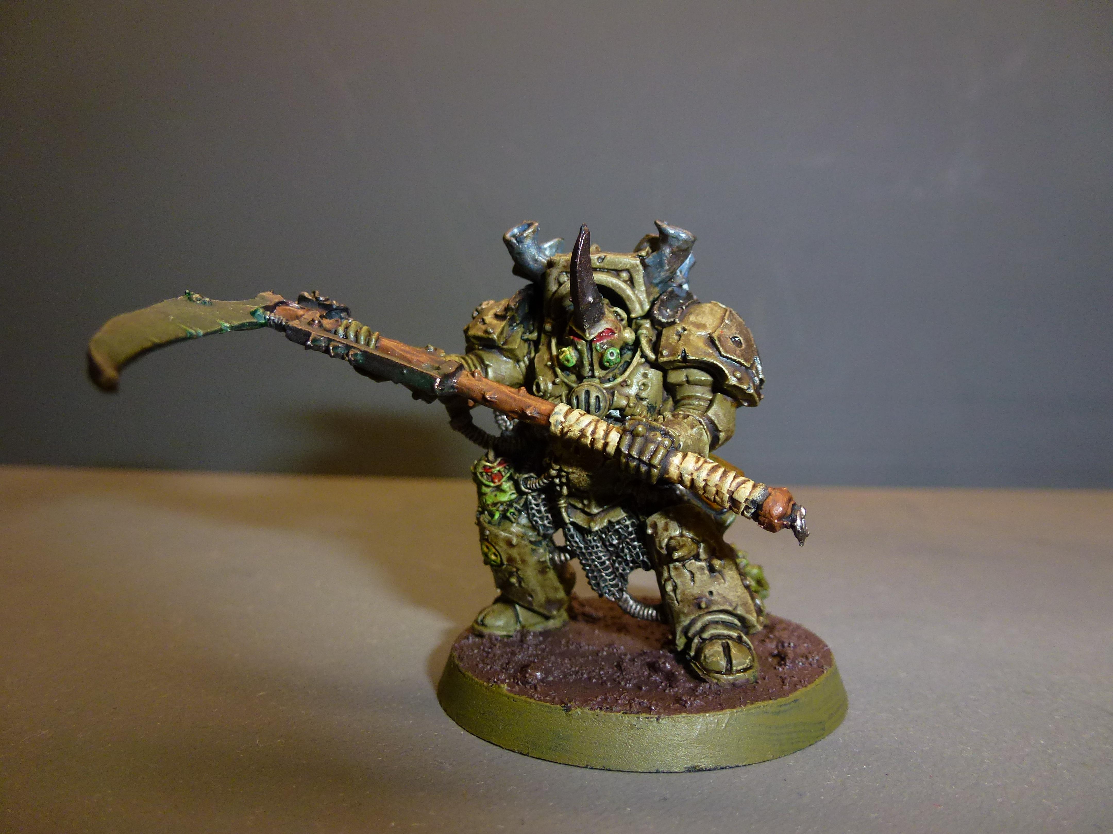 Typhus