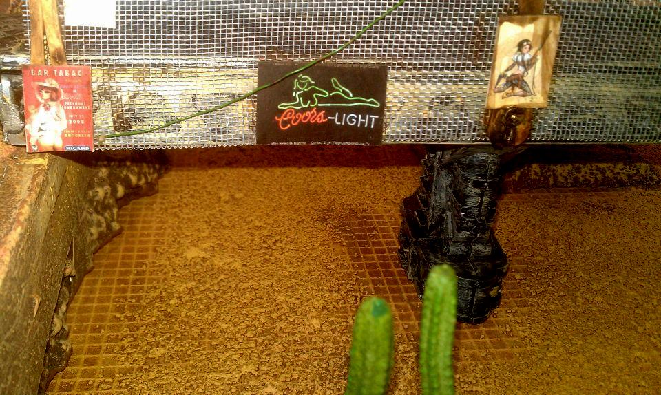 Cities Of Death, Desert, Desert City, Space Marines, Warhammer 40,000