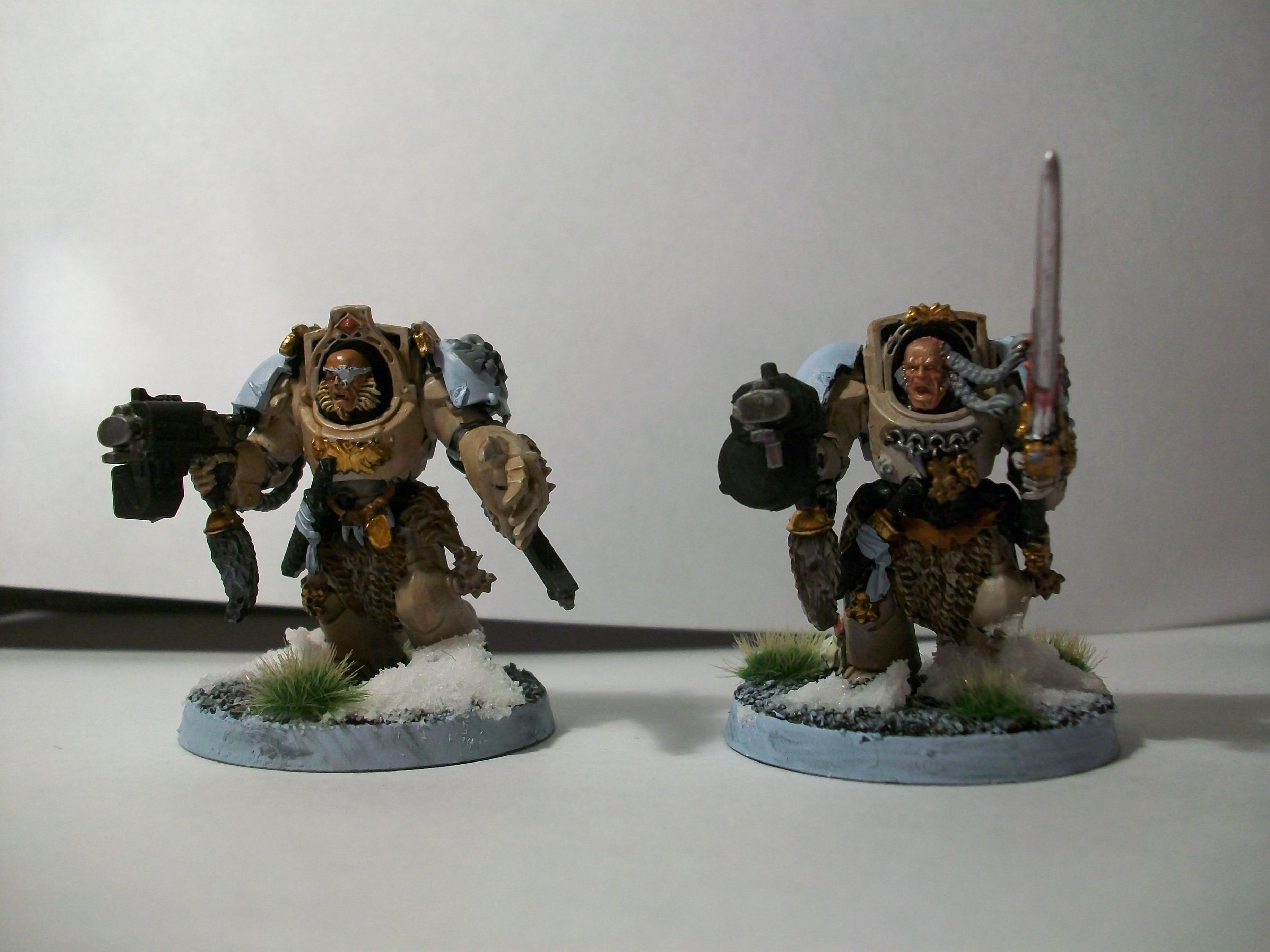 Termies
