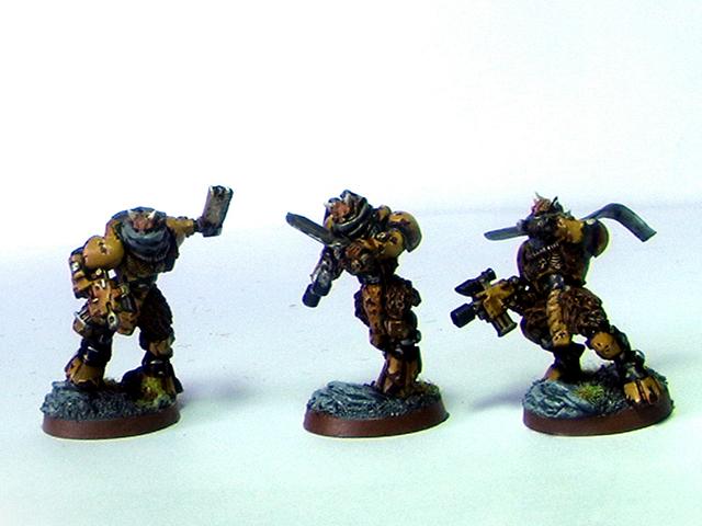 Ungor scouts