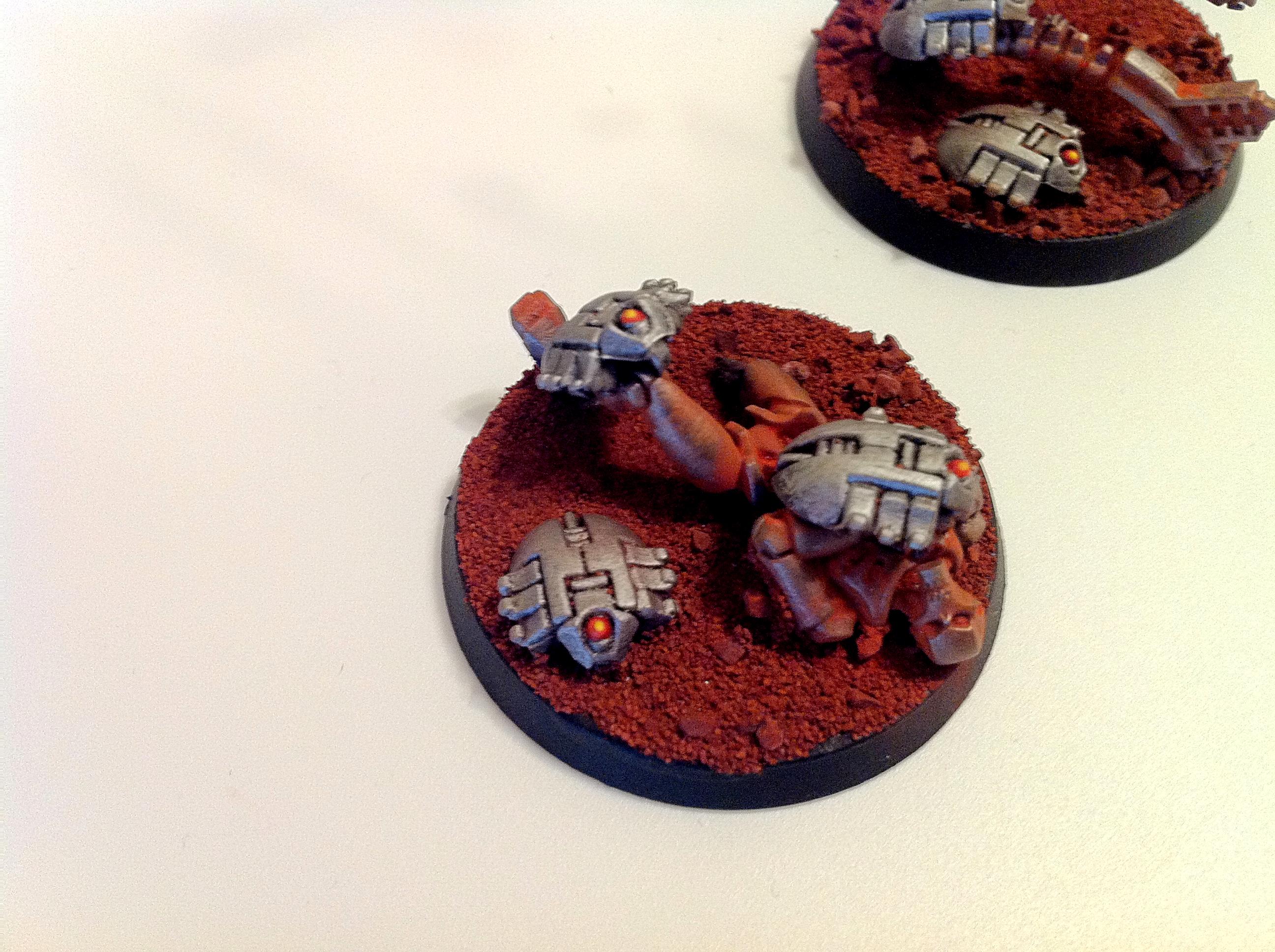 scarabs 2