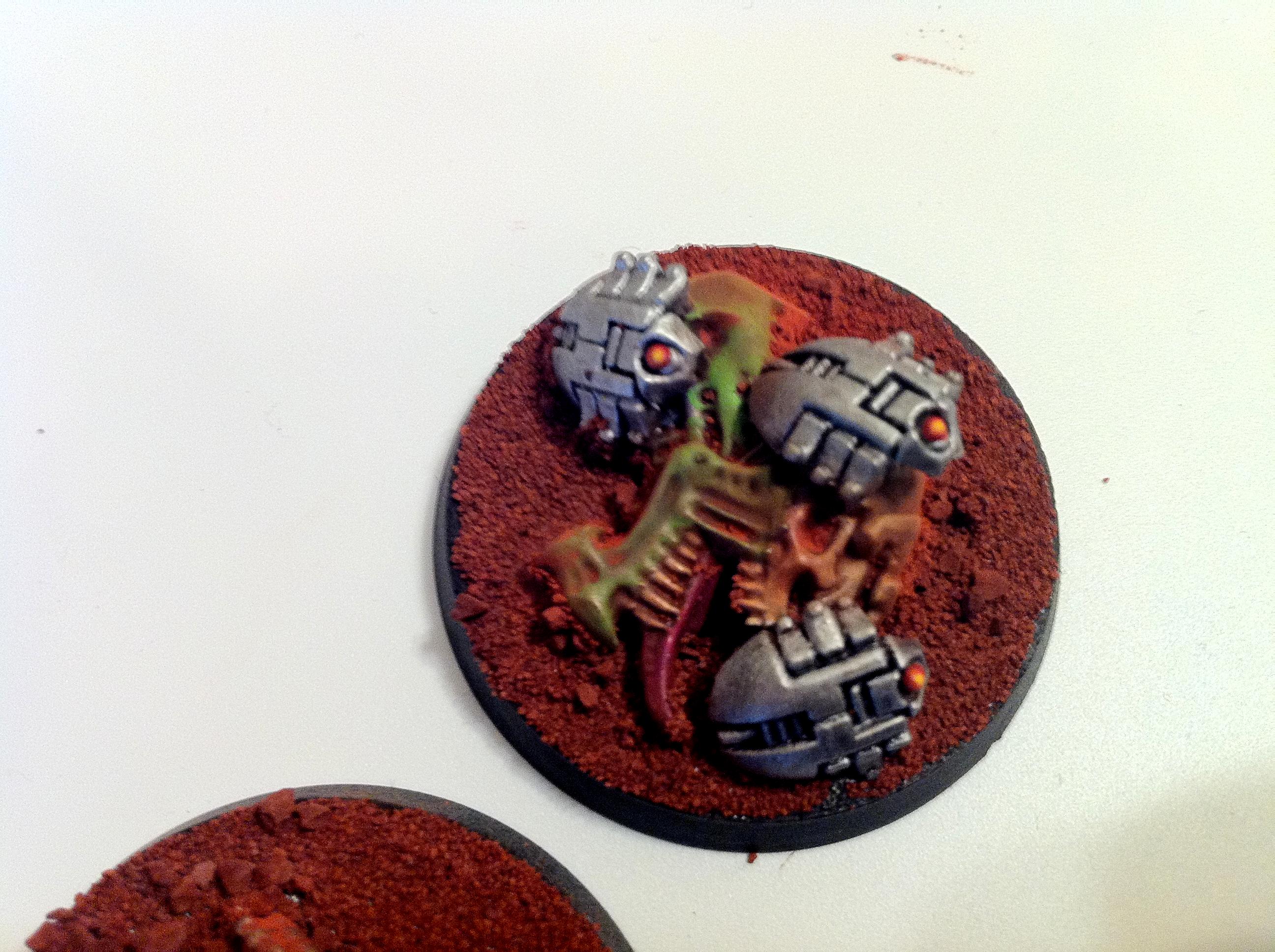 scarabs 3