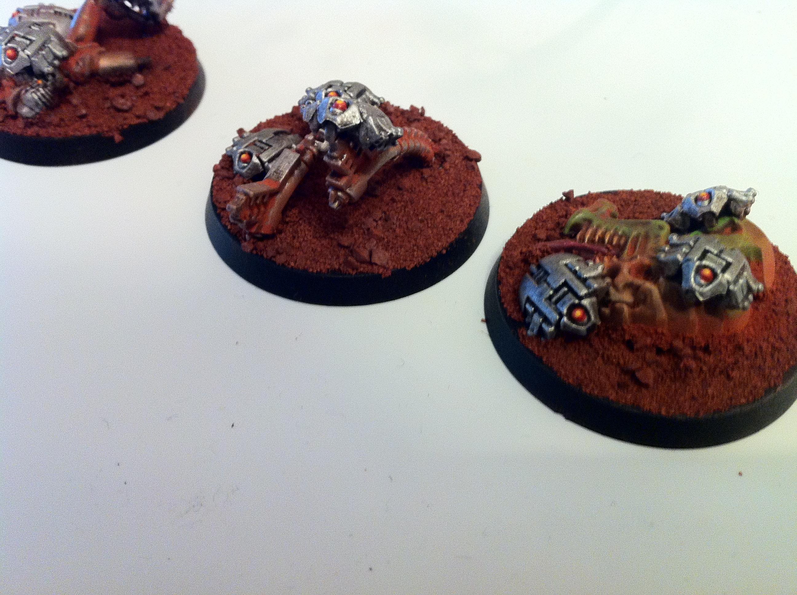 scarabs 4