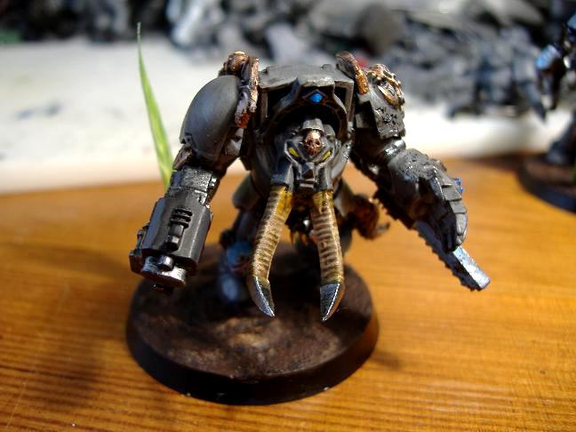 Skyrar's Dark Wolves, Wolf Guard