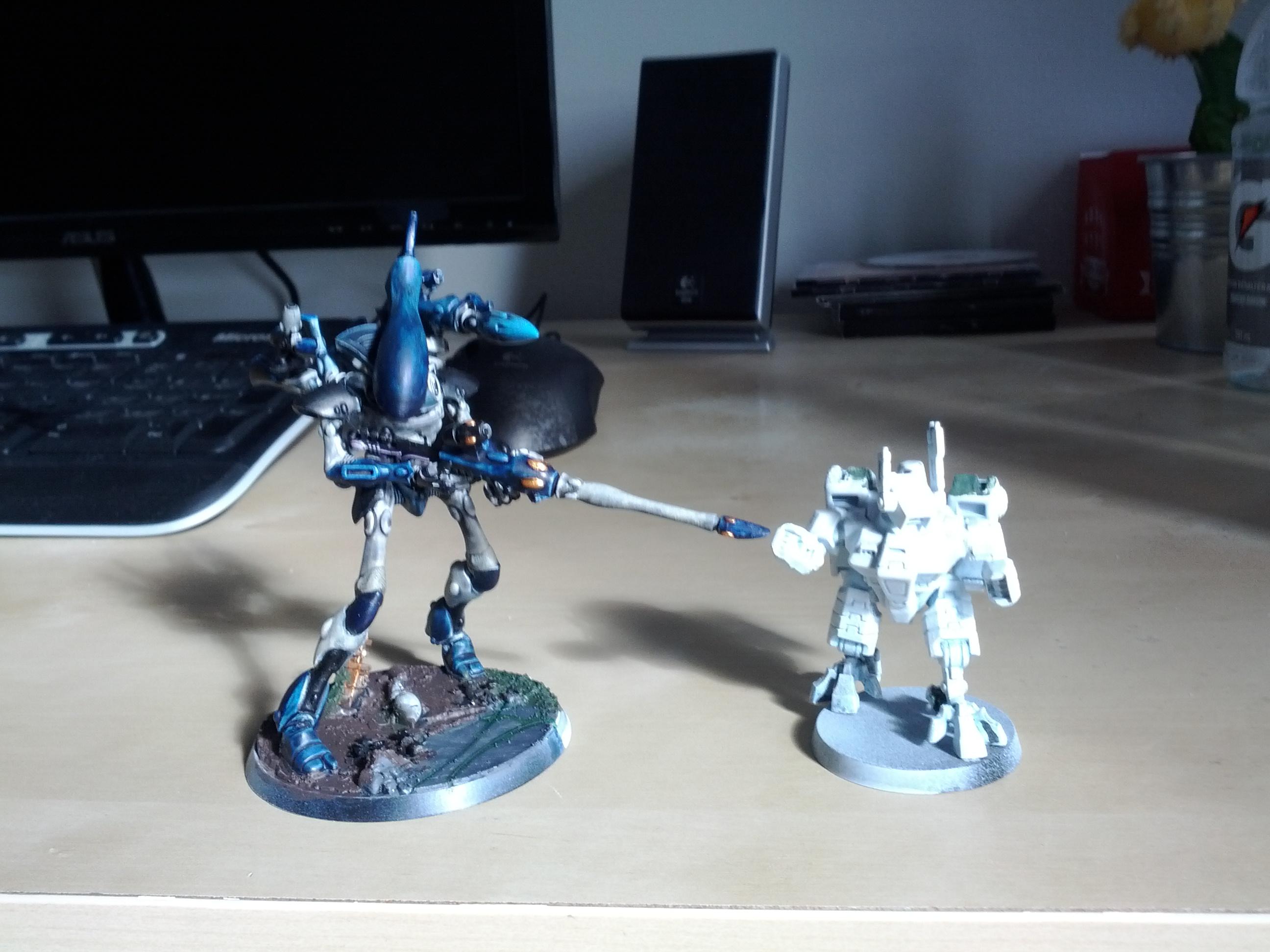 Size Comp