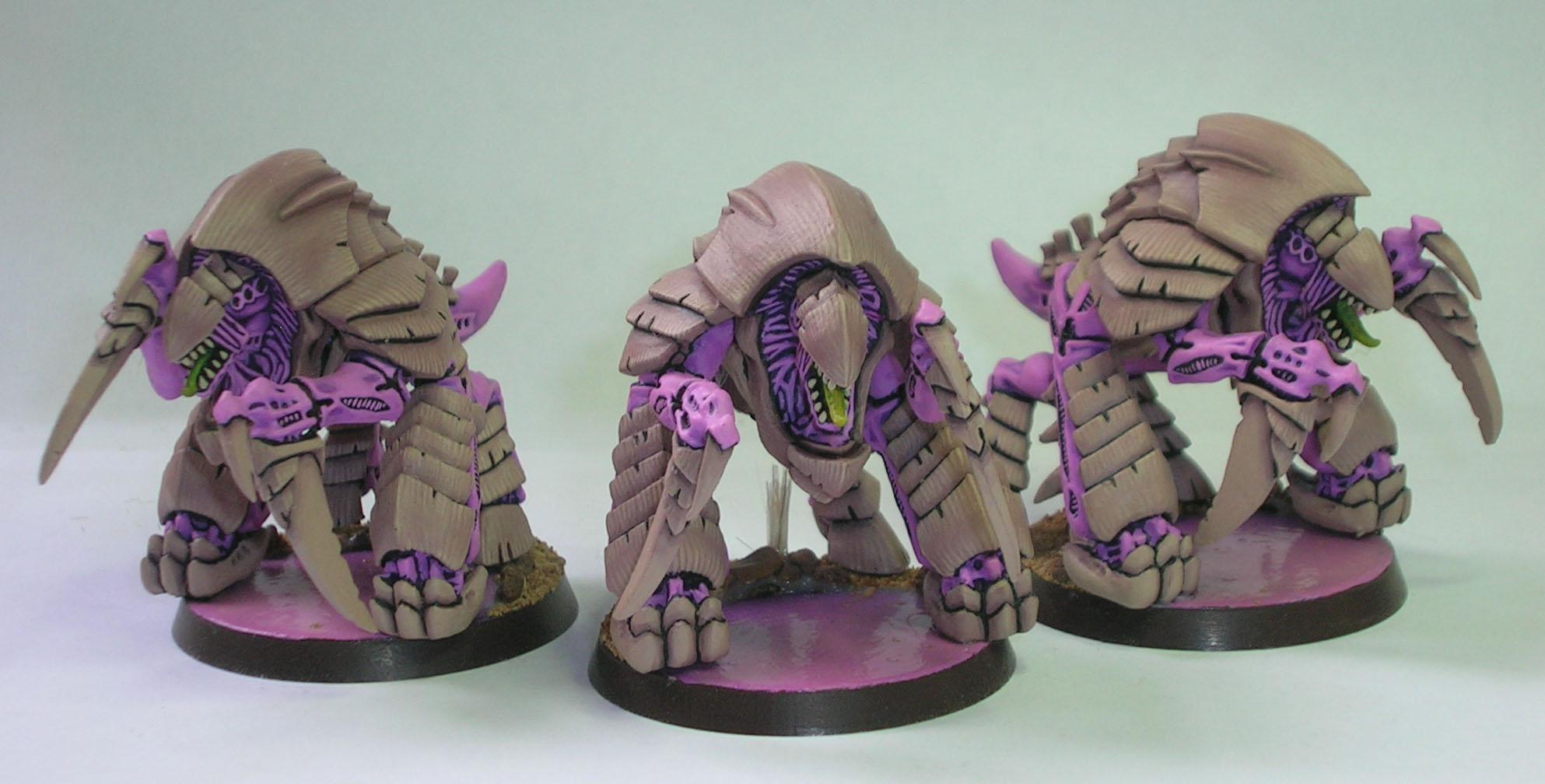 Tyranids