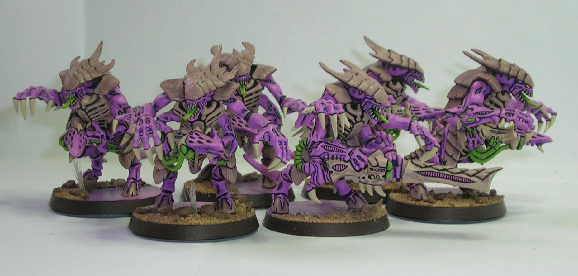 Tyranid Warriors, Tyranids