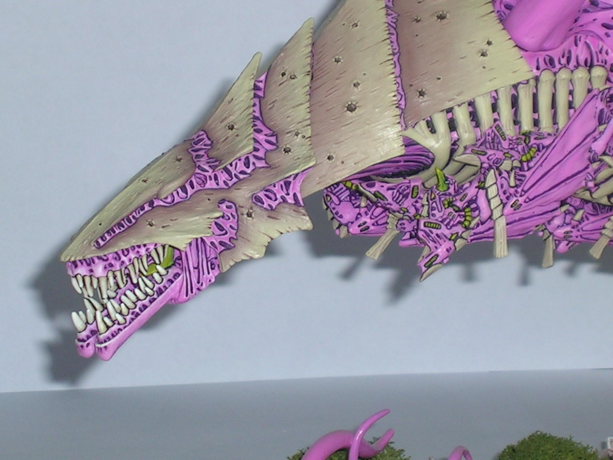 Tyranids