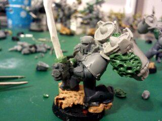 Wip Raptors, WIP Raptors