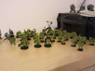 Army, Wip Raptors, WIP Paint..