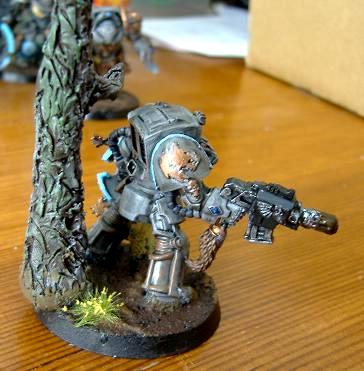 Skyrar%27s Dark Wolves, Skyrar's Dark Wolves, Wolf Guard