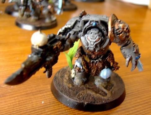 Skyrar's Dark Wolves, Wolf Guard