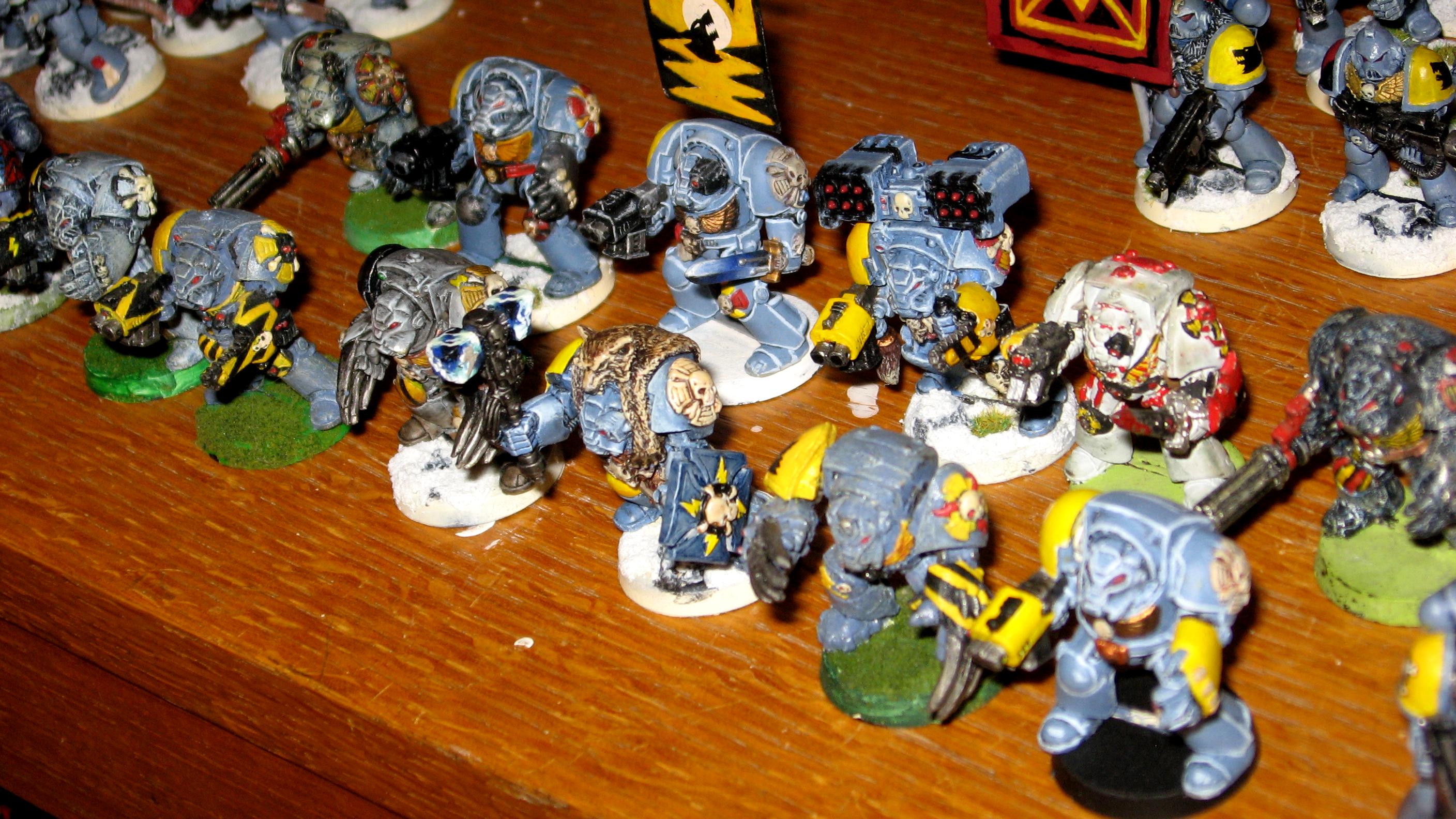 Space Wolves, Wolf Guard