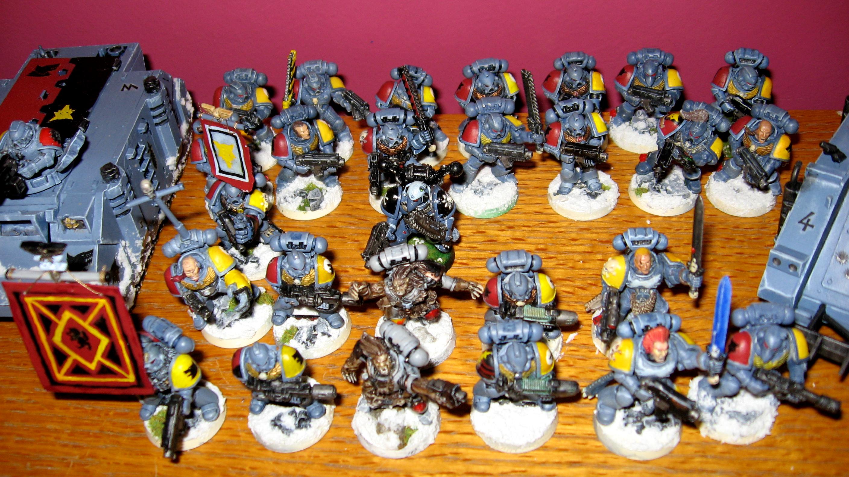 Grey Hunters, Space Wolves