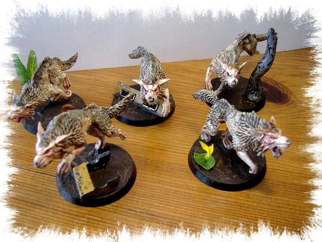 Skyrar's Dark Wolves, Space Wolves, Wolves